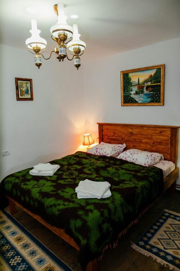 בית הארחה Barcut 	Casa Pe Valea Hartibaciului מראה חיצוני תמונה