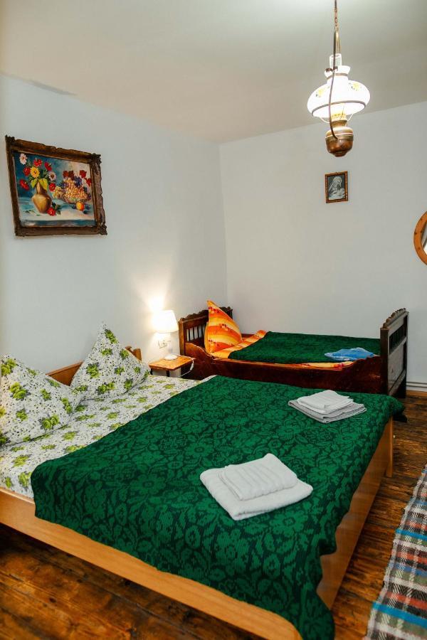 בית הארחה Barcut 	Casa Pe Valea Hartibaciului מראה חיצוני תמונה
